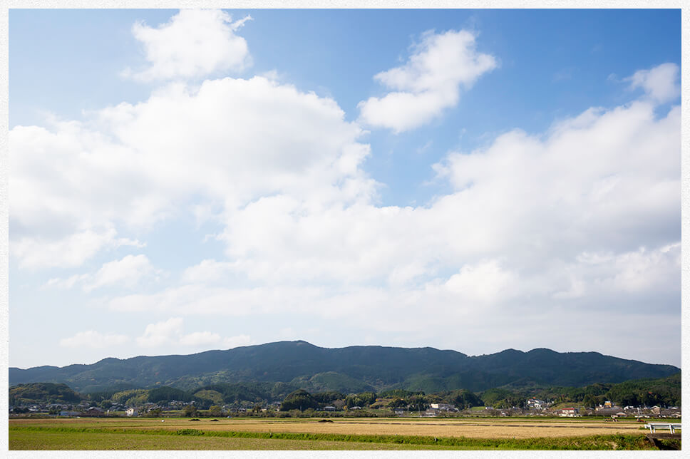 長崎県の北東部佐賀県境に位置する波佐見町は周囲を山に囲まれた静かな盆地です。